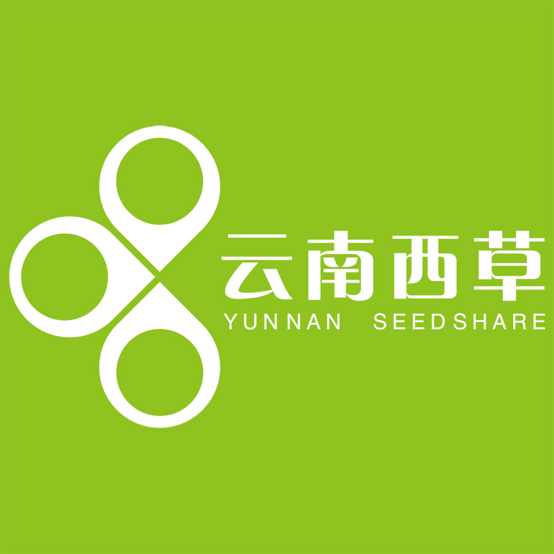 小草客户端西西小草客户端安卓版-第2张图片-太平洋在线下载
